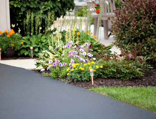 Transform Your Home’s First Impression with a Clean, Smooth Asphalt Driveway