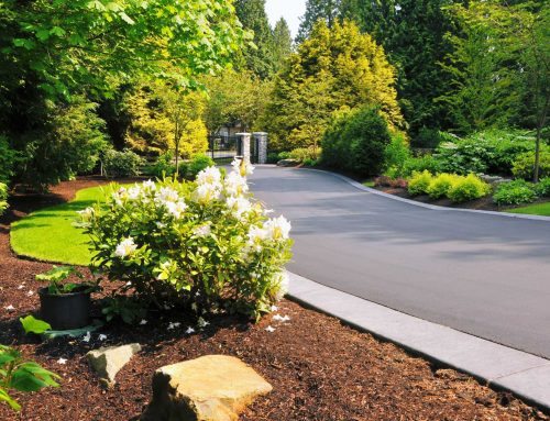The “Golden Month”: Why April is the Strategic Window for Spring Driveway Inspection and Repair