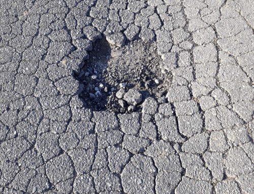 Web of Trouble: Why Alligator Cracks Signal an Asphalt Foundation Crisis