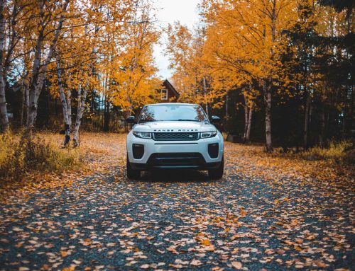 The Ultimate Canadian Fall Checklist for Asphalt Driveways: Inspection, Repairs, and Snow Prep