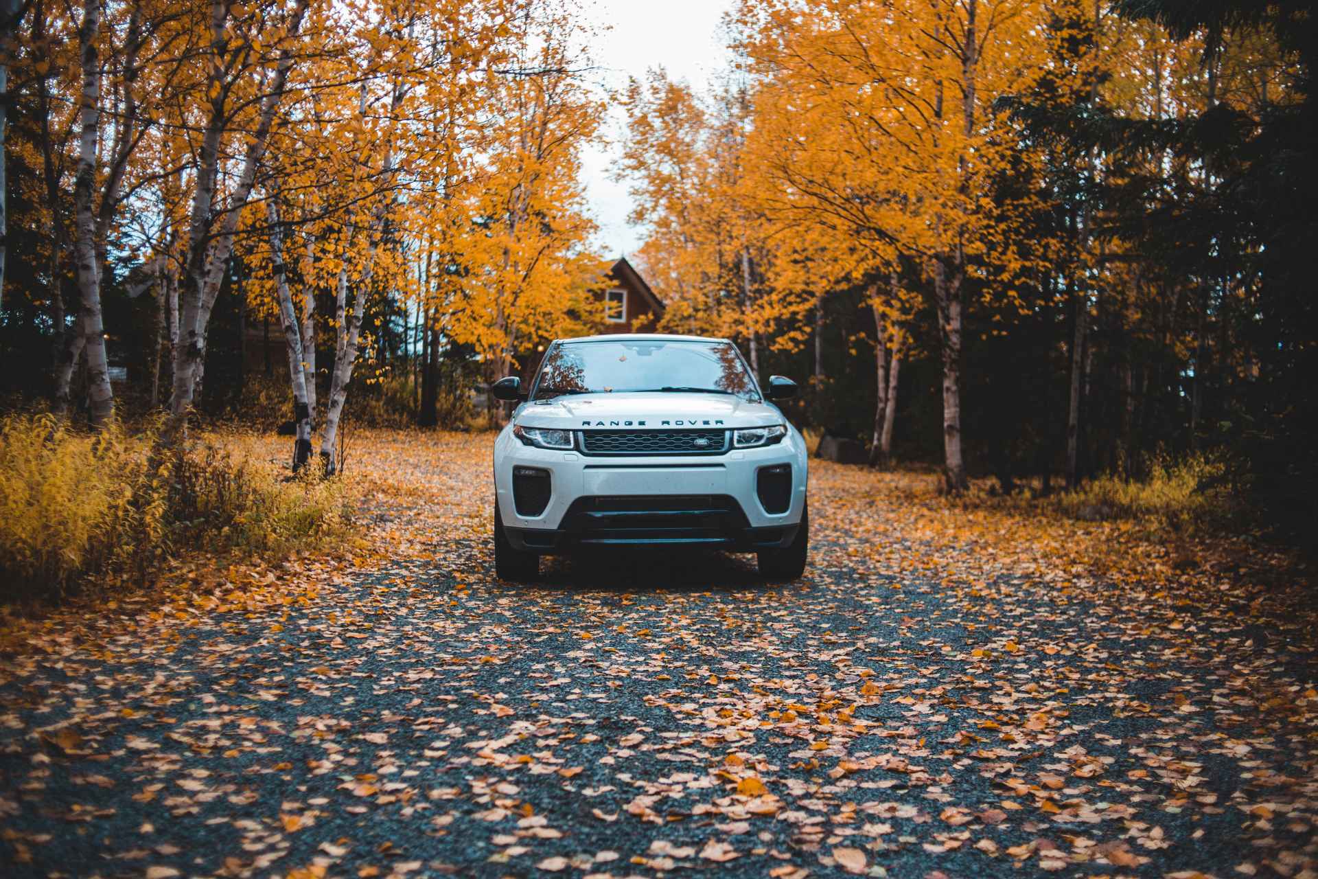 An asphalt driveway covered in colourful autumn leaves with a white car parked facing forward, flanked by autumn trees and a house behind it.